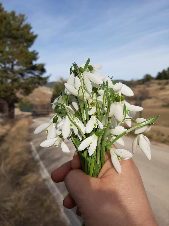 Apartamento La Montesa La Virgen de la Vega Εξωτερικό φωτογραφία