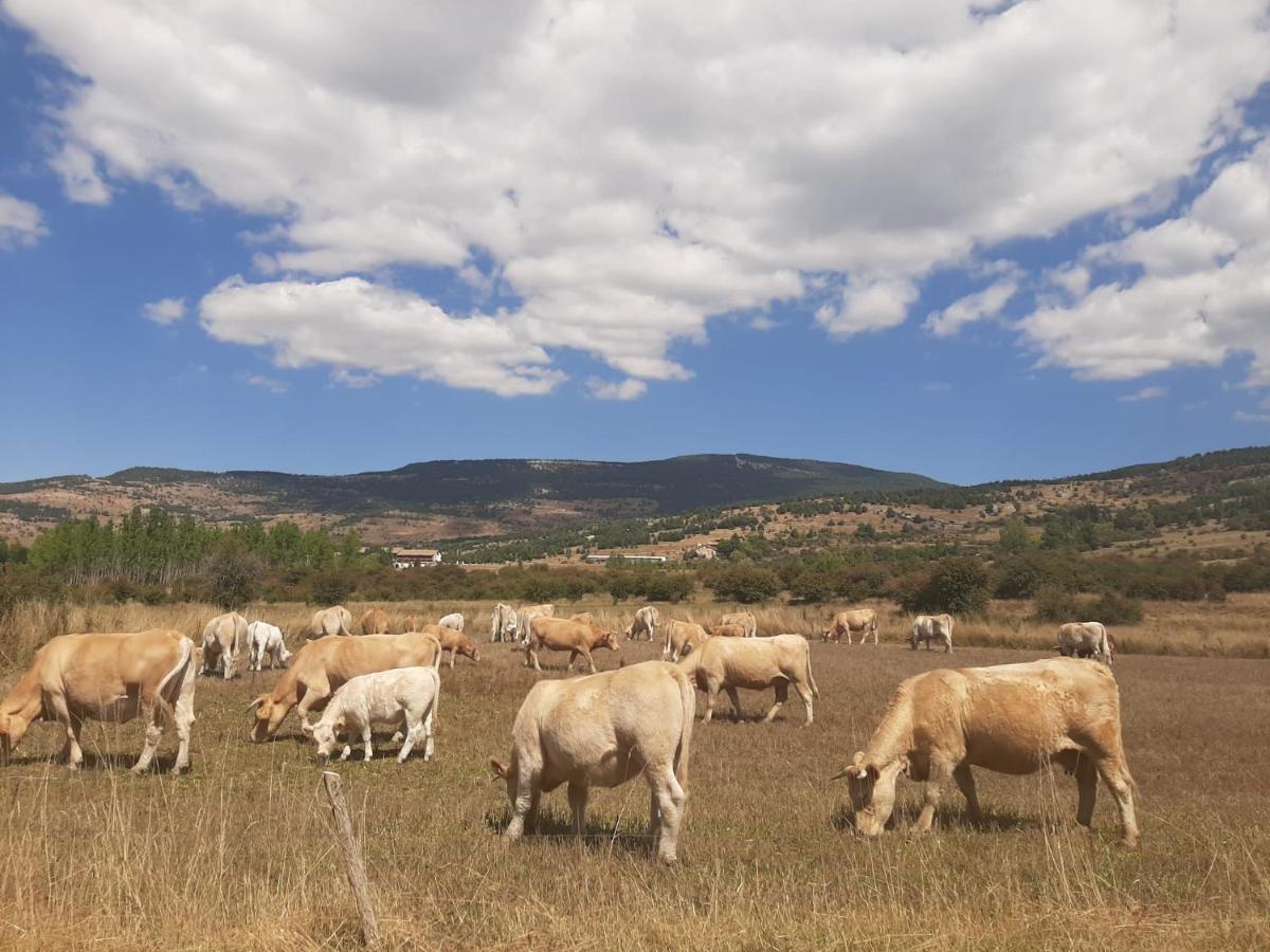 Apartamento La Montesa La Virgen de la Vega Εξωτερικό φωτογραφία